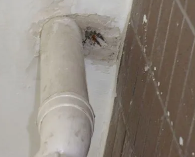 静乐漏水检测哪家好